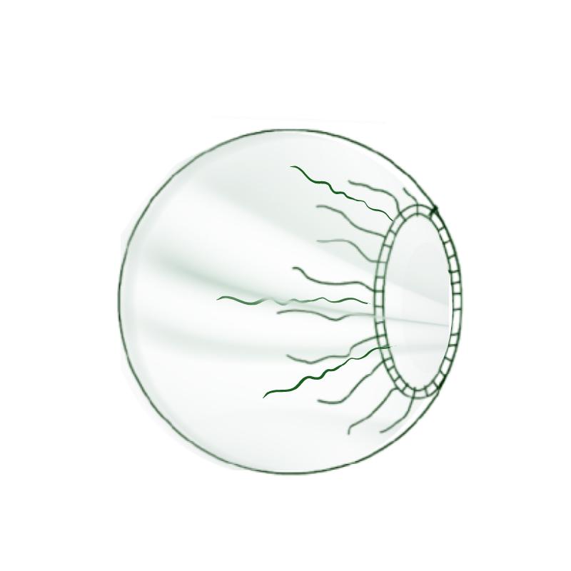Чохол для апаратури, діаметр 75cm(см), поліетилен 50g/m2(г/м2),стерильний, одноразового використання,ТМ «АХІЛЛ»